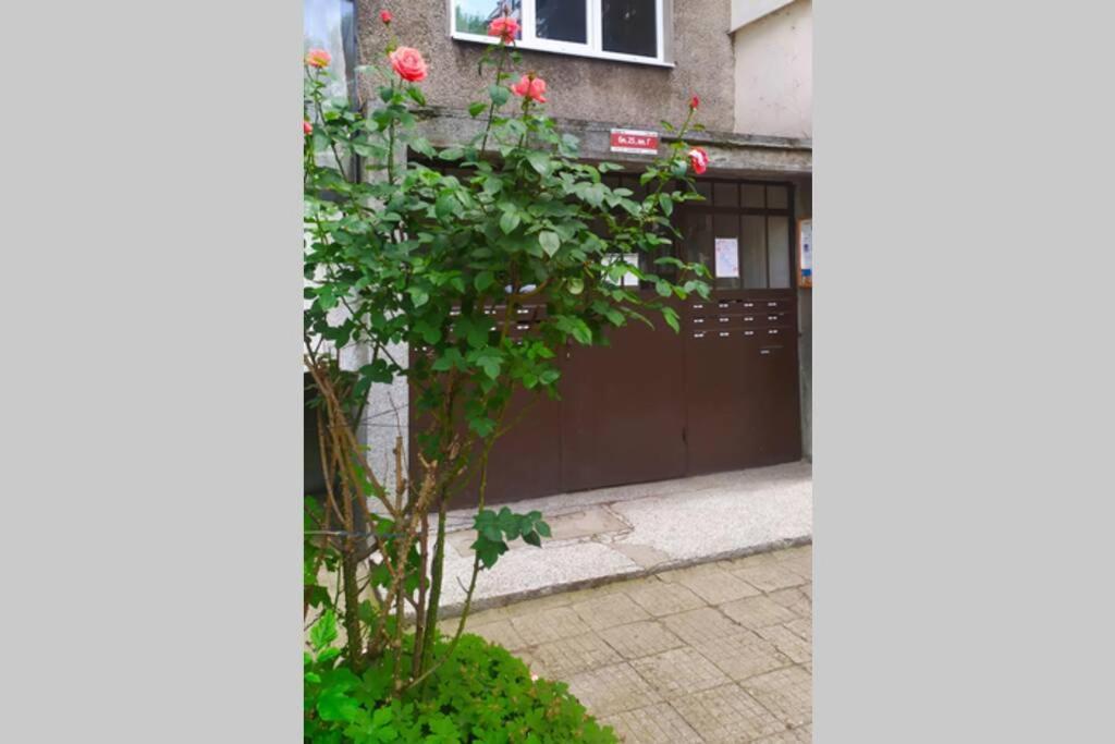 Lovely City Center 1Bd, 1Bt Apartment Sofia Buitenkant foto